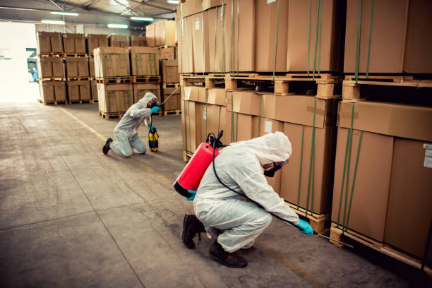 Best Pest Control Near Me in Katy, TX