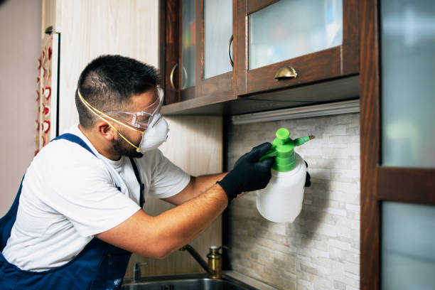 Best Residential Pest Control  in Katy, TX