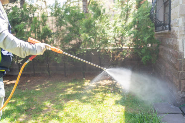Best Best Pest Control Companies  in Katy, TX