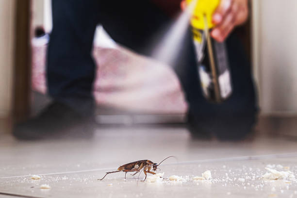 Best Best Pest Control Companies  in Katy, TX